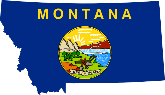 About Bail Bonds | Central Montana Bail Bonds