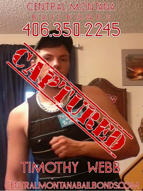 Timothy Webb Wanted In Bozeman Montana Gallatin County