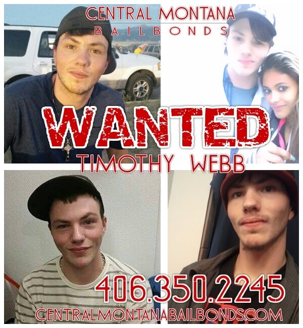 WANTED TIMOTHY WEBB